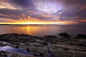 Mossyard Sunrise # 7